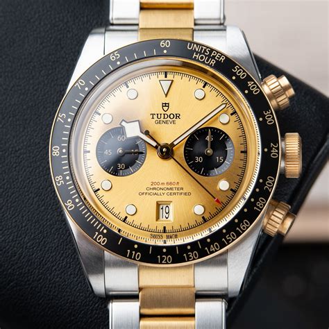 tudor seel end gold|tudor chronograph steel.